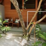 fd302144-1dcb-450a-9757-67a0bf5c3430 - Copy