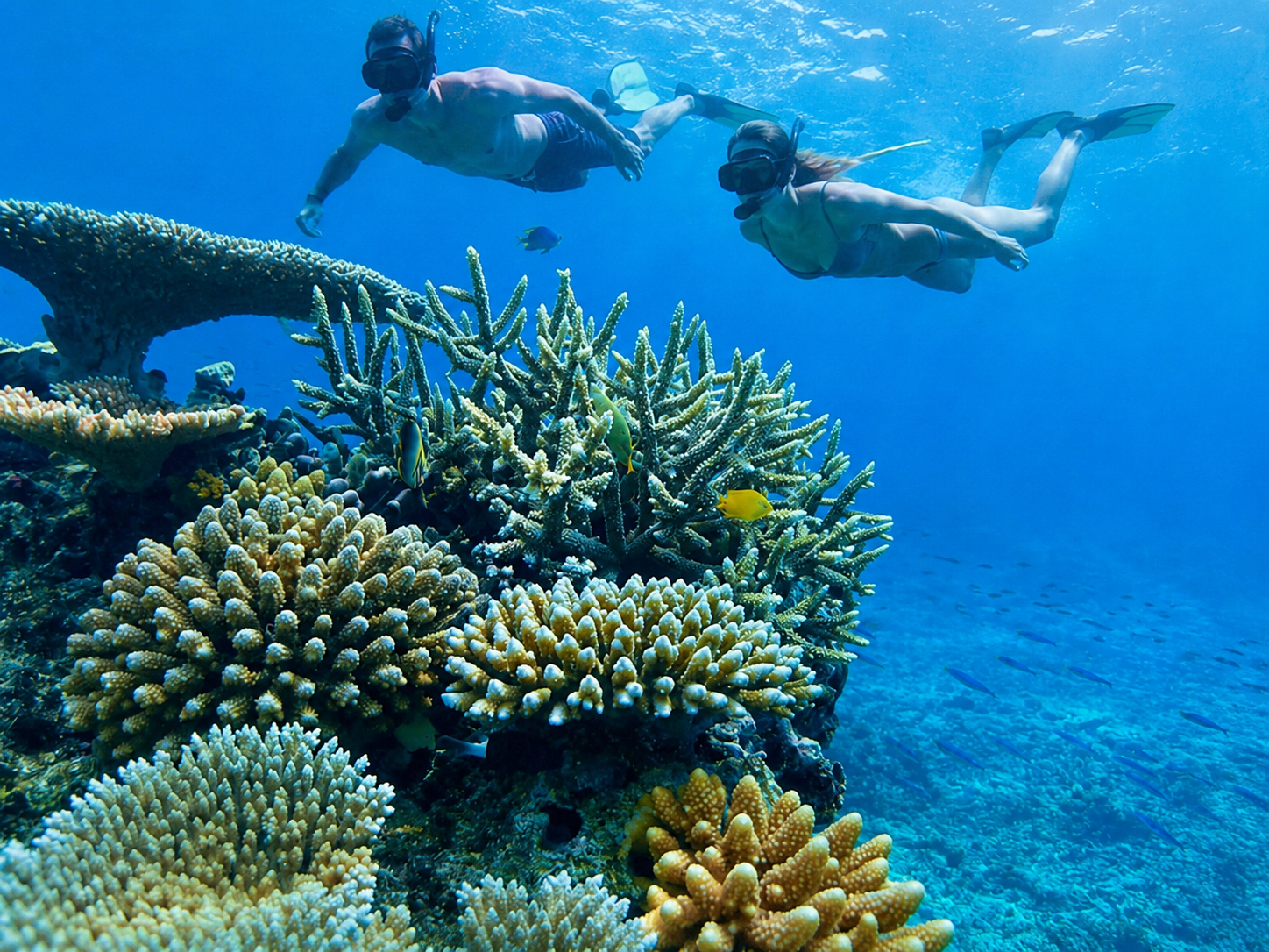 Couple swimming in clear tropical water during the island tour