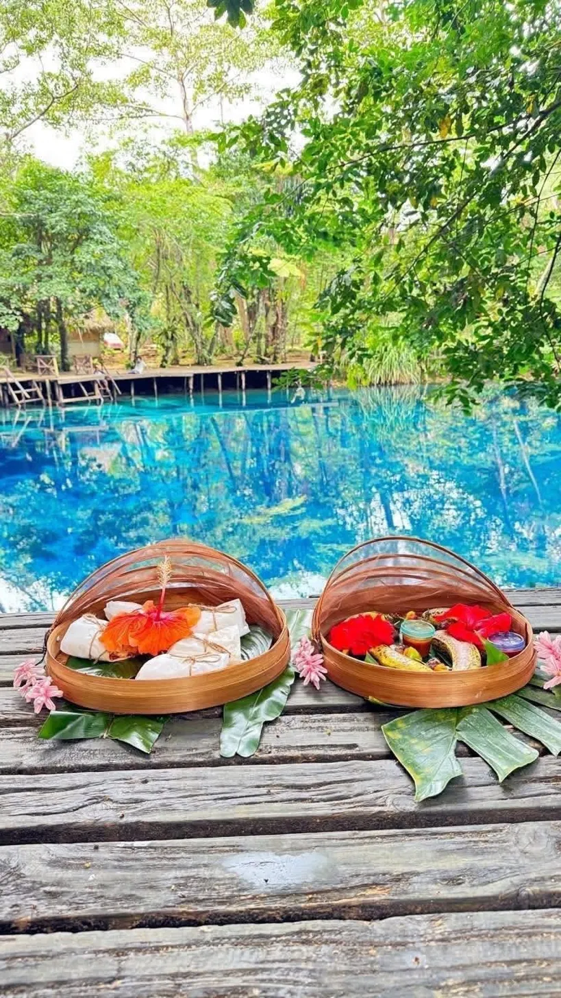 Included picnic beside a natural blue hole in Espiritu Santo